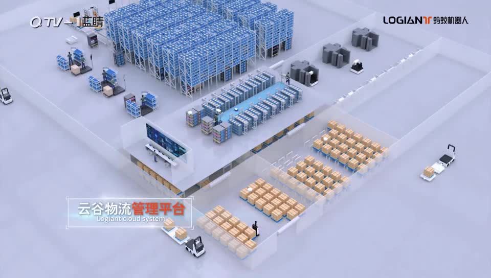 青岛电视台专访.mp4-20241220-132426 图片