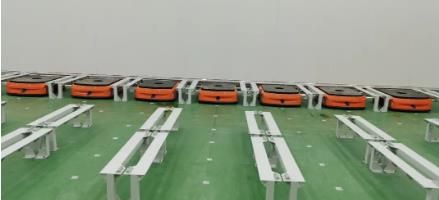 91 图片