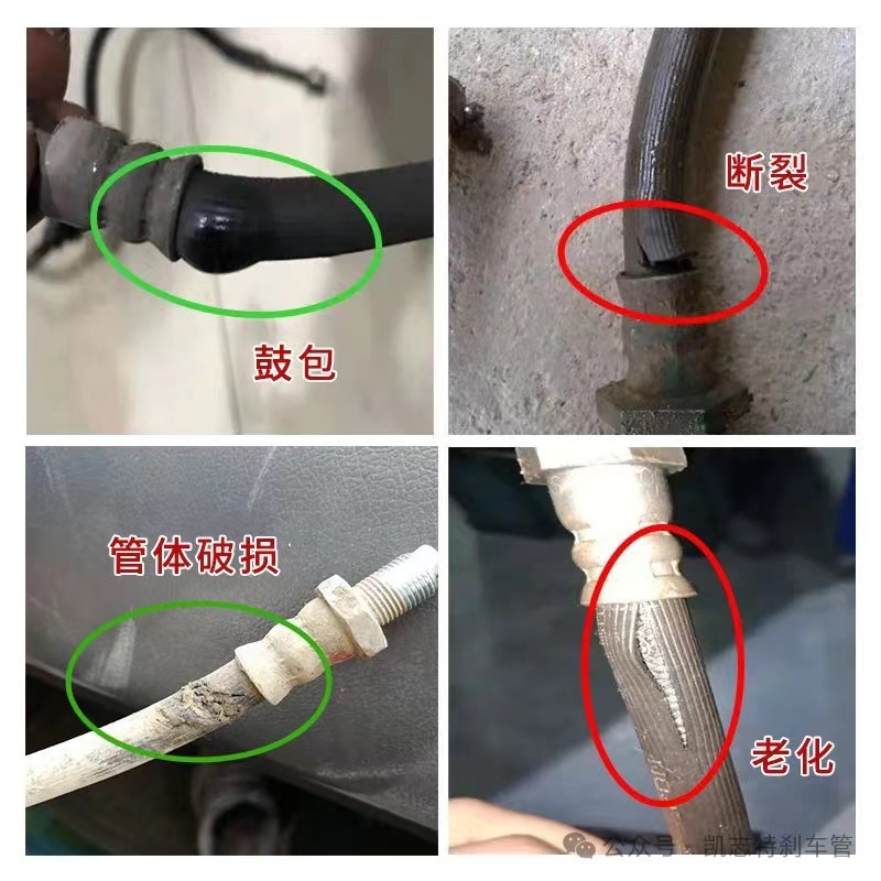 a2e819e82dc2ac80865ca10f47af8aa