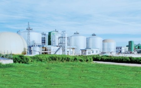 从云南省农村地区沼气中毒事件谈畜禽粪污处理