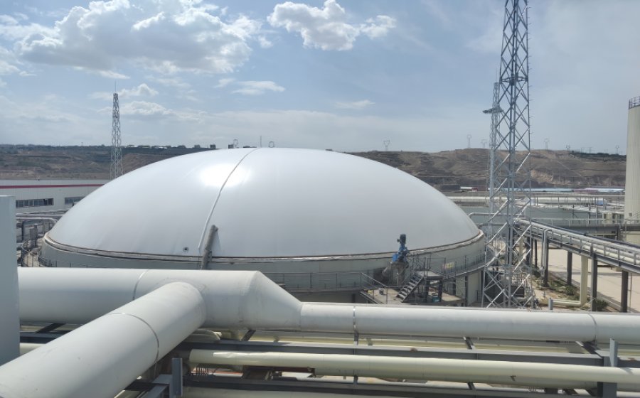 甘肃兰州尾菜处理项目