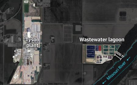 泰森食品应如何“破局”废水难题！沼气工程才引领环保新篇章