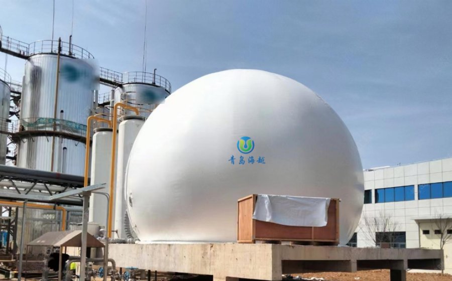 山东临沂制药厂项目