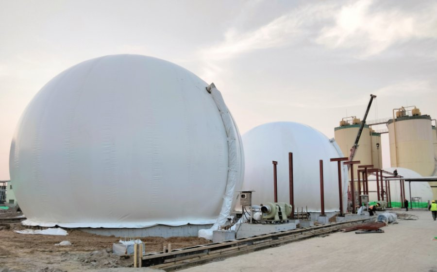 山东东营生物质项目