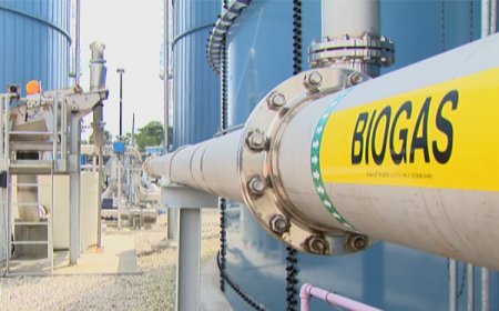 分享——沼气工厂的厌氧发酵罐和双膜沼气柜将垃圾转化为沼气进而发电