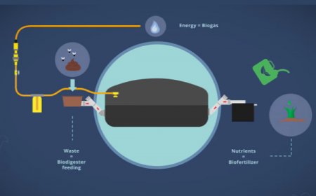 从“0”到“1”：沼气发酵池内部工作全过程