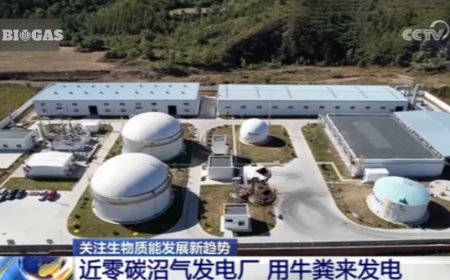 惊！央视聚焦：牛粪、地沟油不再是废弃物，竟成生物质能源新宠儿