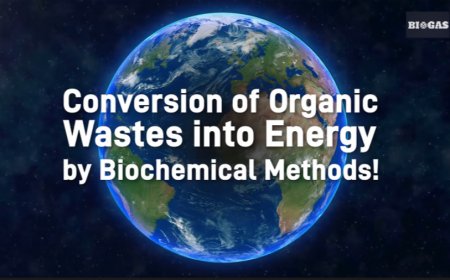 青岛海越储气柜环保新风尚，干式厌氧消化技术助力沼气生产，推动零排放与循环经济