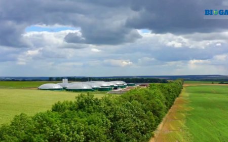 【青岛海越探索】生物沼气如何成为超越能源终端的绿色新星