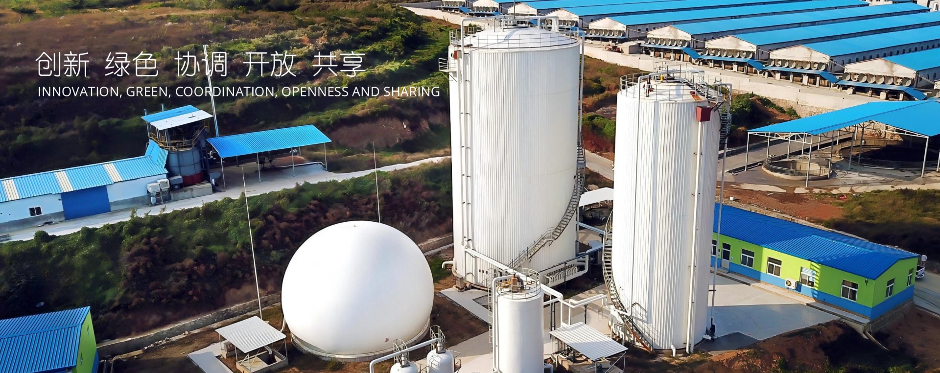 青岛海越一体化双膜气柜厂家