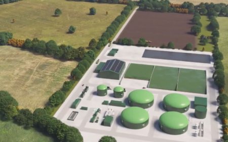 可持续新风暴！青岛海越动画演绎农业有机废弃物‘重生’为可再生能源