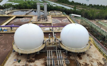 青岛海越在印度尼西亚造纸厂成功安装两套400立方双膜气柜