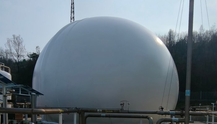 餐厨垃圾处理 (5)