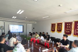 行业动态