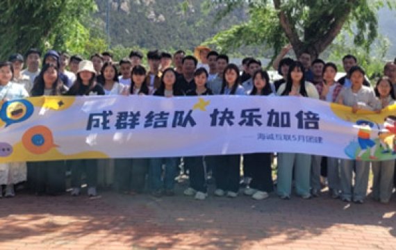 行业动态